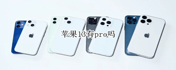 苹果13有pro吗 苹果13有promax吗