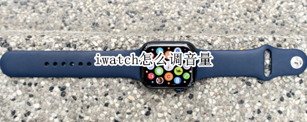 iwatch怎么调音量（怎么调节iwatch音量）