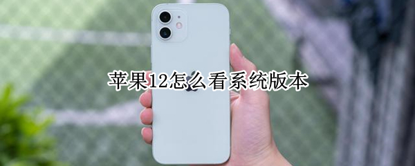 苹果12怎么看系统版本 苹果怎么看系统版本电脑