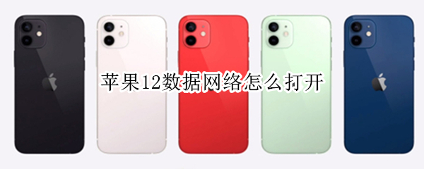 苹果12数据网络怎么打开 iphone12怎么打开数据网络