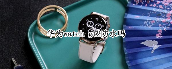 华为watch 华为watchD