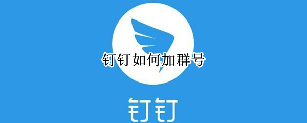 钉钉如何加群号（钉钉如何加群号进群）