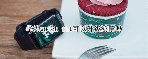 华为watch 华为watch3