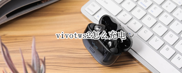 vivotws2怎么充电 vivotws2可以用手机充电器充电吗