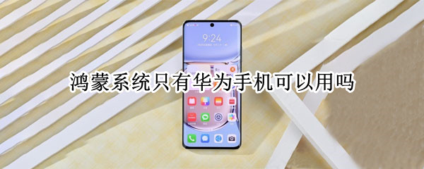 鸿蒙系统只有华为手机可以用吗（鸿蒙系统其它华为手机能用吗）