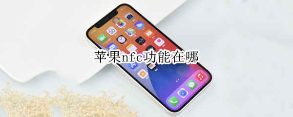 苹果nfc功能在哪（苹果nfc功能在哪里扫描）