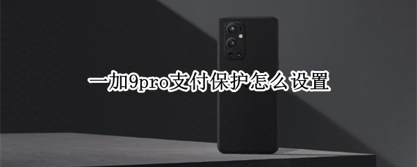 一加9pro支付保护怎么设置（一加9pro支付保护怎么设置密码）