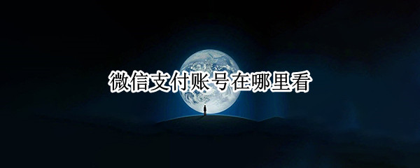 微信支付账号在哪里看（微信支付账号在哪里看数字）