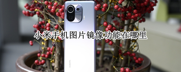 小米手机图片镜像功能在哪里 小米手机图片镜像怎么弄