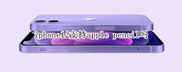 iphone12支持apple（iPhone12支持apple2.4）