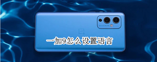 一加9怎么设置语言 一加9r如何设置语言