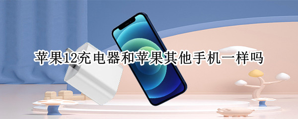 苹果12充电器和苹果其他手机一样吗（iphone 12的充电器和别的苹果充电器有区别吗）
