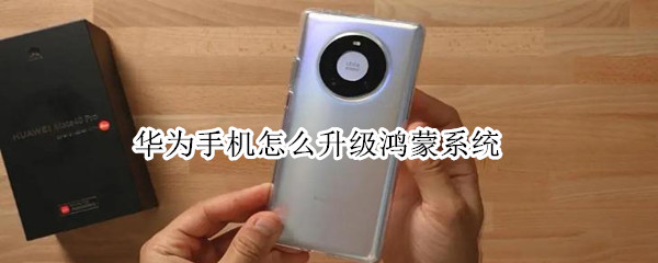 华为手机怎么升级鸿蒙系统（华为手机怎么升级鸿蒙系统3.0）
