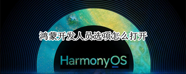 鸿蒙开发人员选项怎么打开 鸿蒙系统开发人员选项在哪里调出来