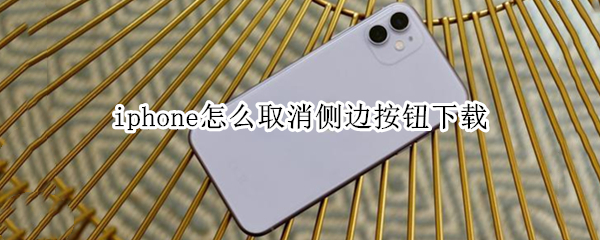 iphone怎么取消侧边按钮下载（iphone12怎么取消侧边按钮下载）