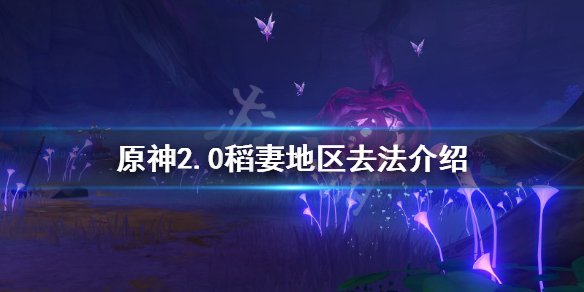 原神稻妻怎么去 原神稻妻怎么去清籁岛