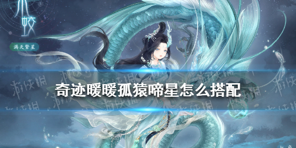 奇迹暖暖孤猿啼星怎么搭配（奇迹暖暖星宿）