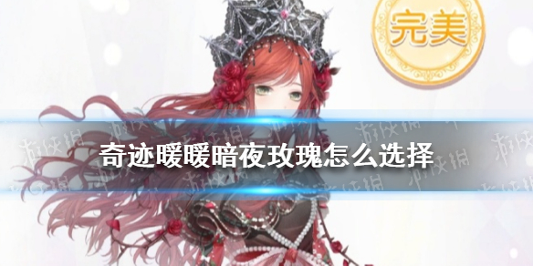 奇迹暖暖暗夜玫瑰怎么选择（奇迹暖暖暗夜玫瑰怎么选择角色）