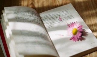 关于经典人生语录 关于经典人生语录短句