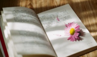 十句经典励志人生语录（十句经典励志人生语录图片）