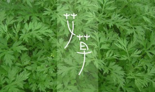 艾叶洗脸有什么好处 艾叶洗脸有什么好处和功效