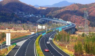 广东端午高速免费吗2021（广东端午高速免费吗2021年8月）