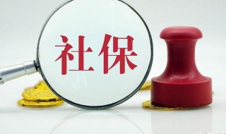 社保自己怎么交（上海辞职后社保自己怎么交）