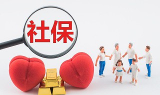 医保看病怎么报销（交了医保看病怎么报销）