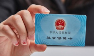 社保怎么查询个人账户（农村社保怎么查询个人账户）