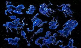 十二星座的守护花（十二星座的隐藏身份）