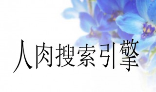 人肉什么意思
