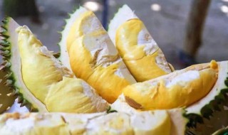 榴莲剥开没熟怎么办（榴莲剥开没熟好怎么办）