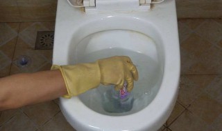 厕所堵了怎么办疏通马桶有妙招（坐厕堵了怎么办疏通马桶有妙招）