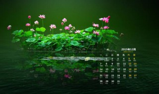 2020年9月宜嫁娶的日子 适合结婚的日子2020年9月