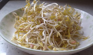 怎么发豆芽简单做法 简单发豆芽的做法