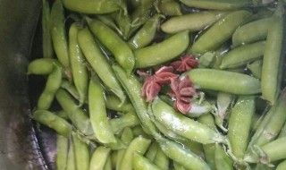 豆荚怎么放冰箱保存 豆荚怎么放冰箱保存不会坏