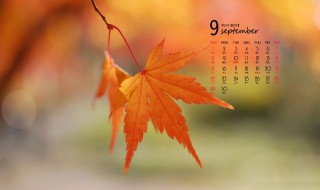 9月份节日 9月份节日纪念日有哪些