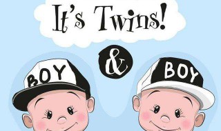 twins是什么意思