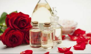 玫瑰精油的功效（玫瑰精油的功效与作用及副作用）