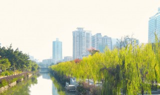 中国十大宜居城市（2021年中国十大宜居城市）