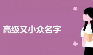 高级又小众名字 最小众的名字