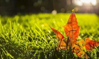 秋分后天气还热吗（秋分节气还热吗）