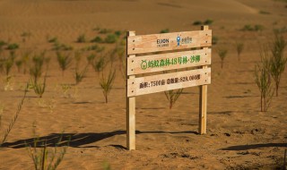 能量双击卡怎么获得 能量双击卡怎么得到