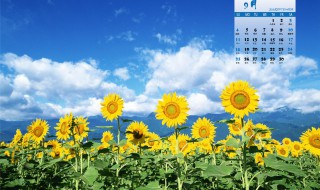9月份的结婚黄道吉日 9月份结婚黄道吉日2023年