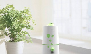 加湿器如何清洗（戴森加湿器如何清洗）