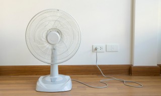 电风扇如何清洗（电风扇如何清洗扇叶）