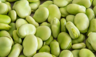 新鲜蚕豆米保鲜方法 新鲜蚕豆米怎样保存好