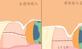 枕头正确枕法 枕头正确枕法图片