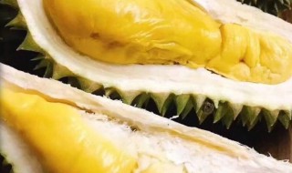 带壳榴莲储存方法（带壳榴莲保存方法）