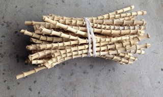 怎样正确判断竹鞭的位置 怎样正确判断竹鞭的位置好坏